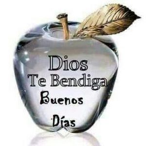 Meet your Posher, Araceli